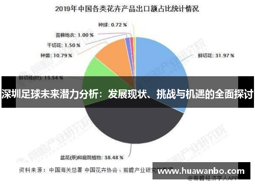 深圳足球未来潜力分析：发展现状、挑战与机遇的全面探讨