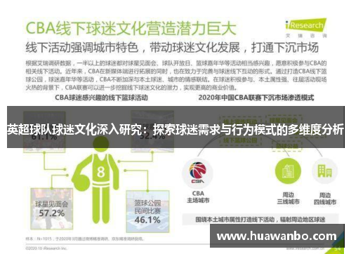 英超球队球迷文化深入研究：探索球迷需求与行为模式的多维度分析